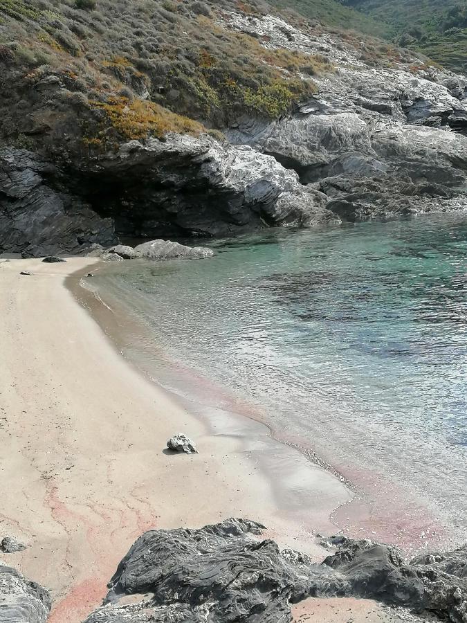 Coin De Paradis Vue Dominante Sur Mer, Montagne Et Tour Genoise Avec Jacuzzi Pino Exterior photo
