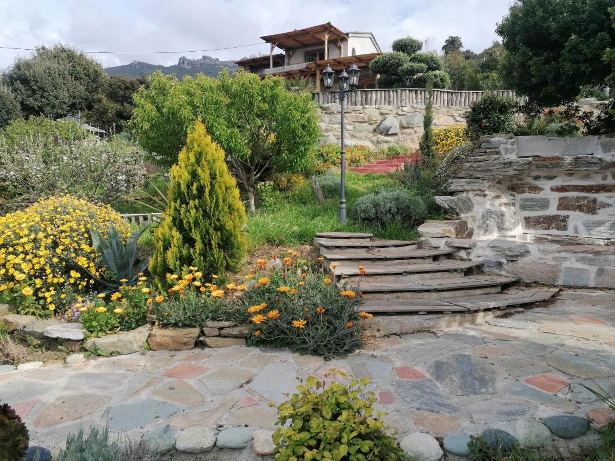 Coin De Paradis Vue Dominante Sur Mer, Montagne Et Tour Genoise Avec Jacuzzi Pino Exterior photo